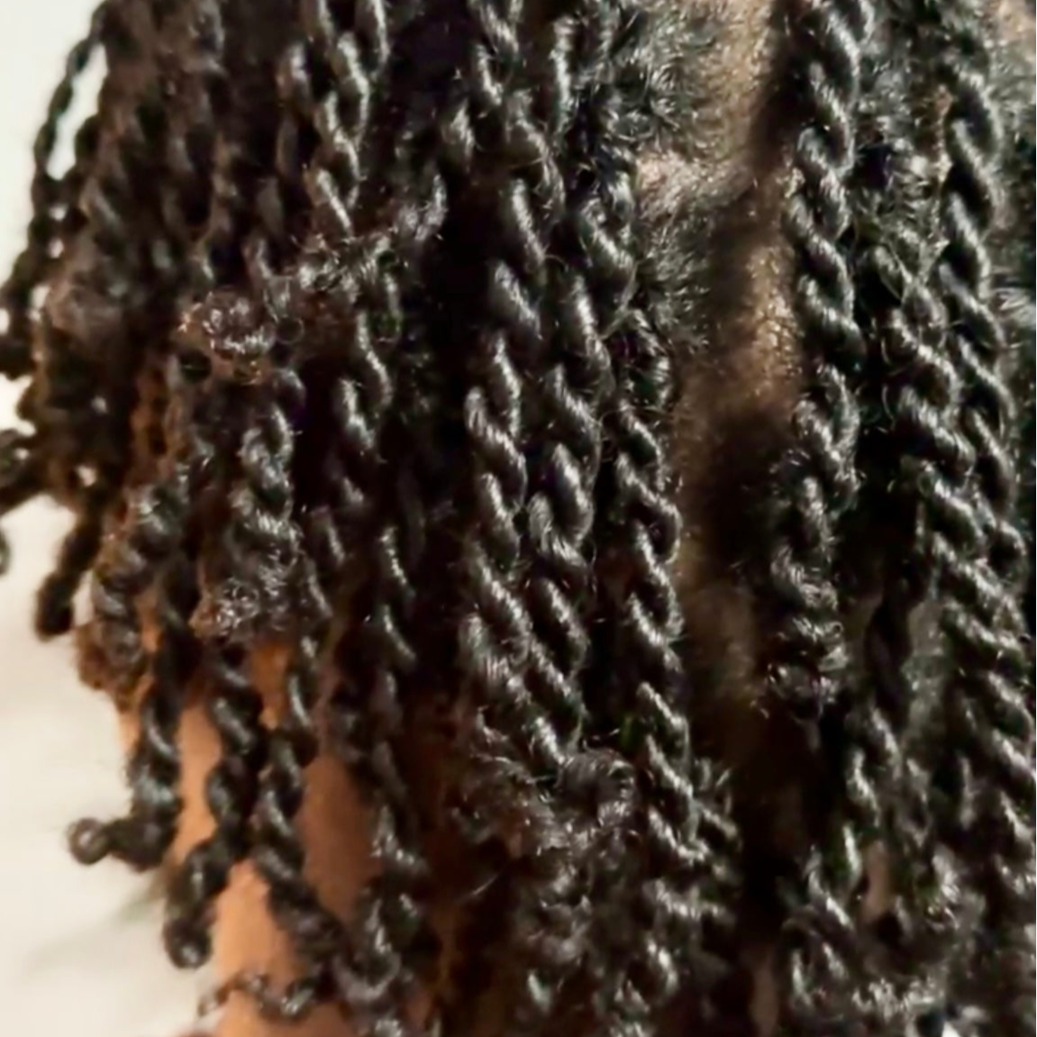 Moisturised afro hair in mini twists